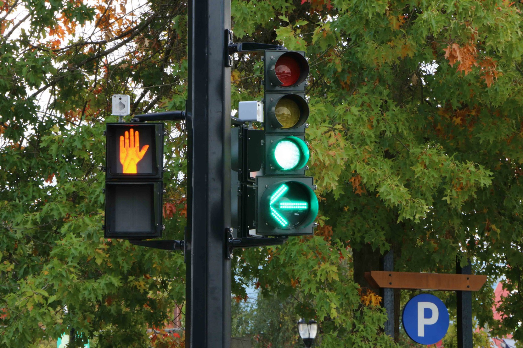 Green light with green arrow advance, Duncan, B.C. (photo by WestCoastDriverTraining.com)