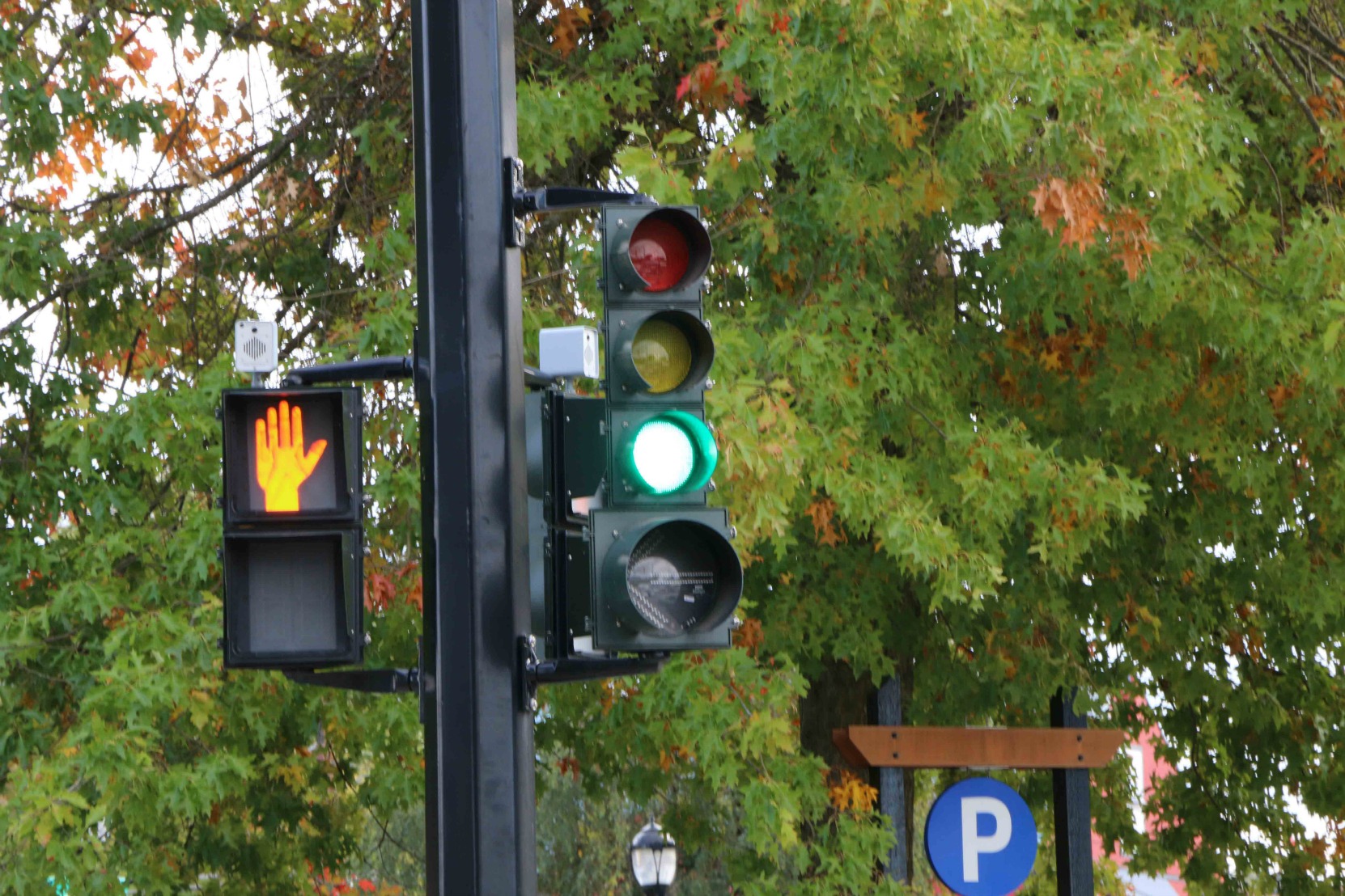 Green light, Duncan, B.C. (photo by WestCoastDriverTraining.com)