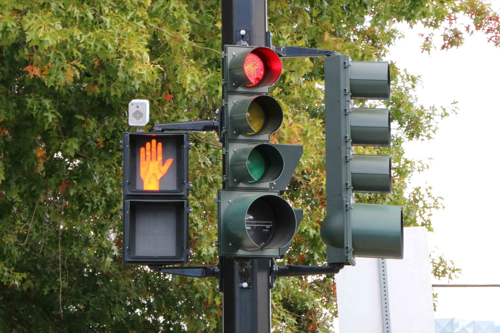 Red light, Duncan, B.C. (photo by WestCoastDriverTraining.com)